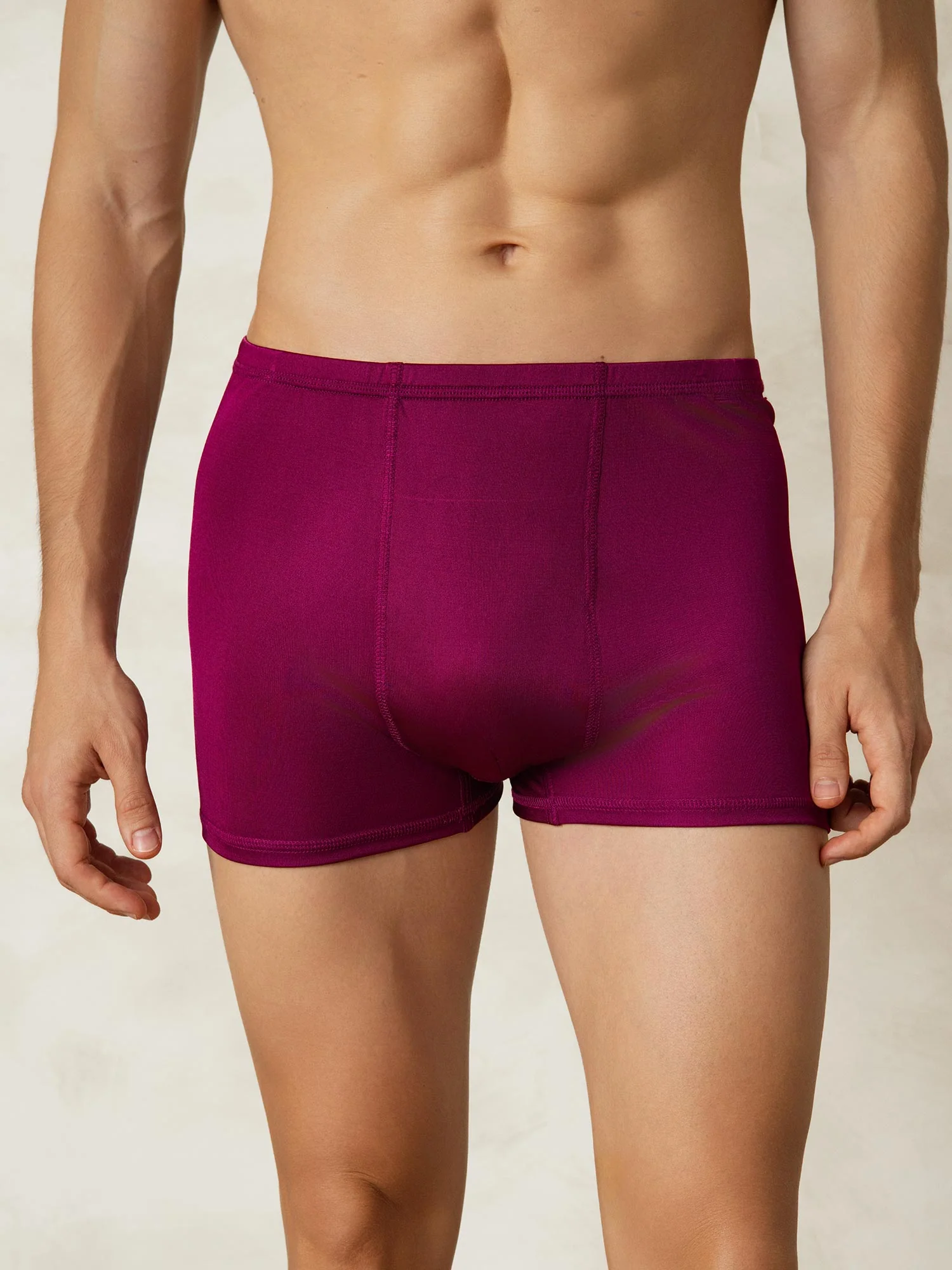 Pure Silk Boxers Homme Sous-vêtements - Image 20